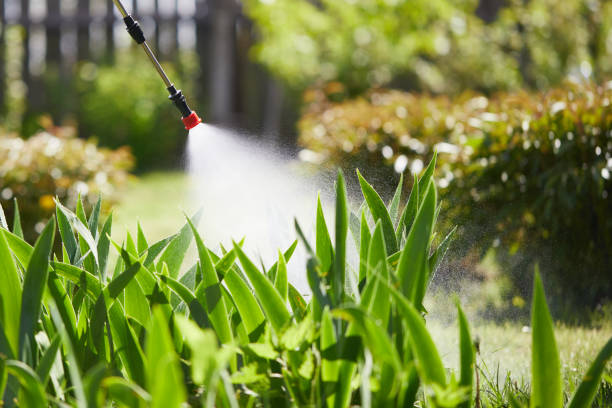 24/7 Emergency Wasp Removal experts in Dollar Bay, MI