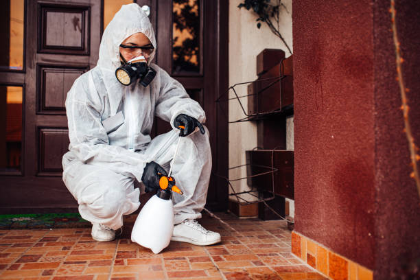 Reliable Wasp Removal contractor in Dollar Bay, MI by Show Me Pest Control
